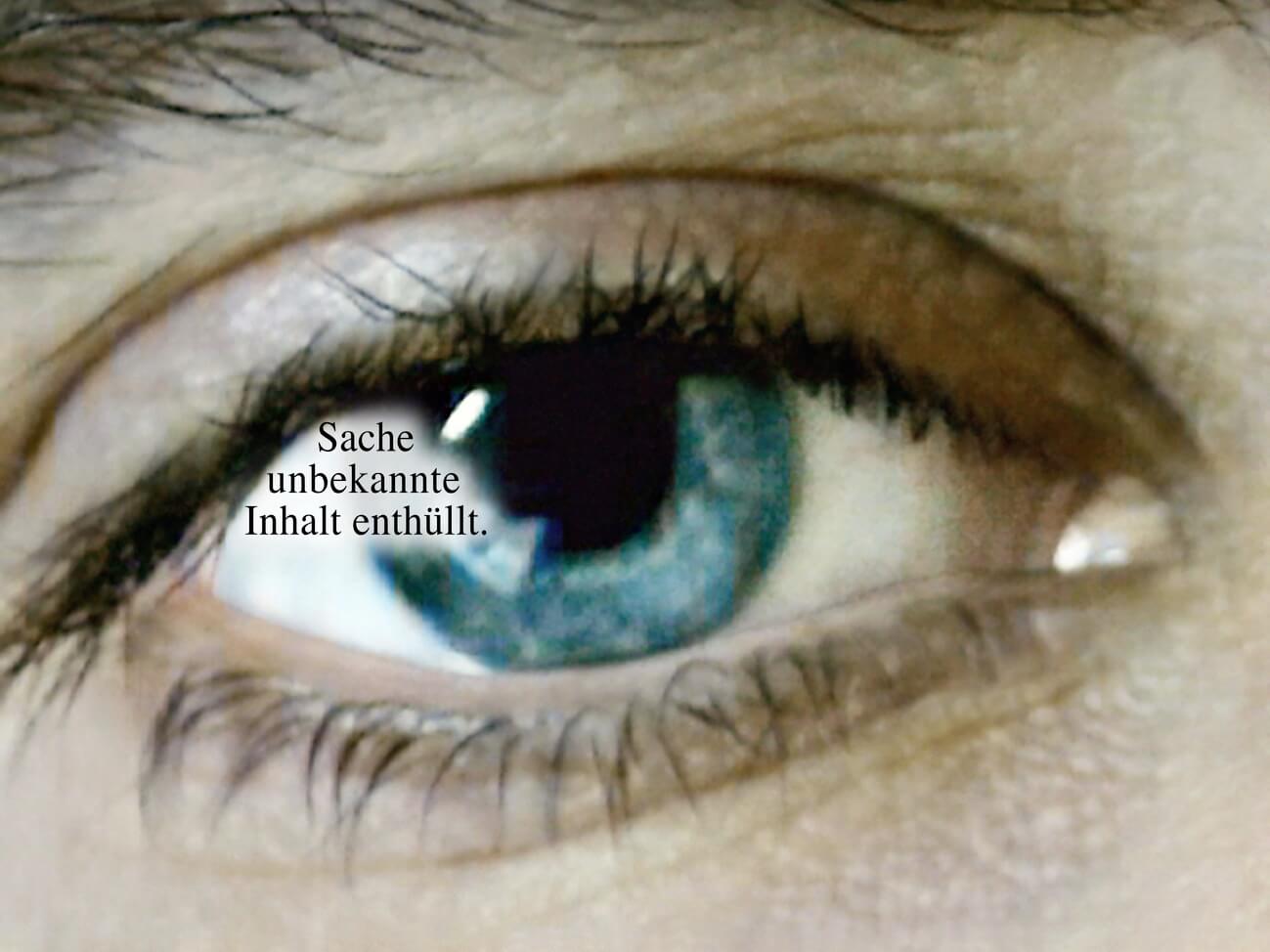 DER BLICK DES BLICKES